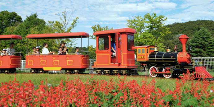 772d517ab540a512203cdf3c54e859