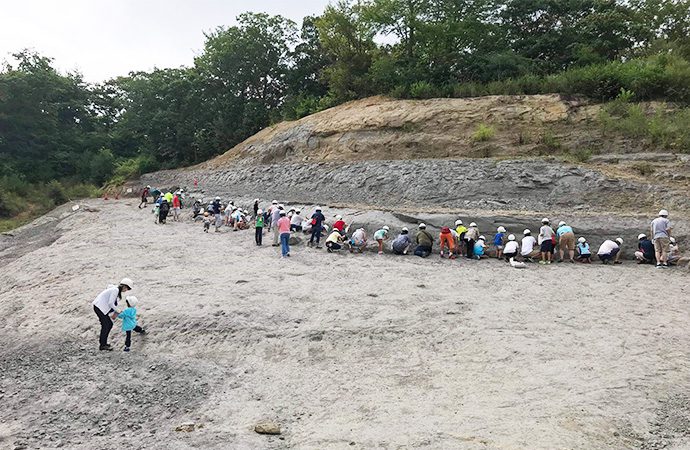 化石発掘体験の様子・福島県 アンモナイトセンター