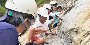 親子体験レポ | 白亜紀の化石発掘体験！アンモナイトセンター【福島県・いわき】
